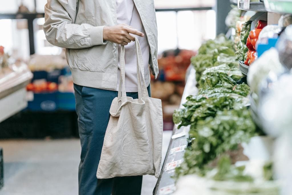 Grocery store business plan: Risk Analysis