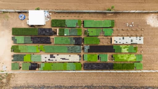 Plano de Negócios de Paisagismo