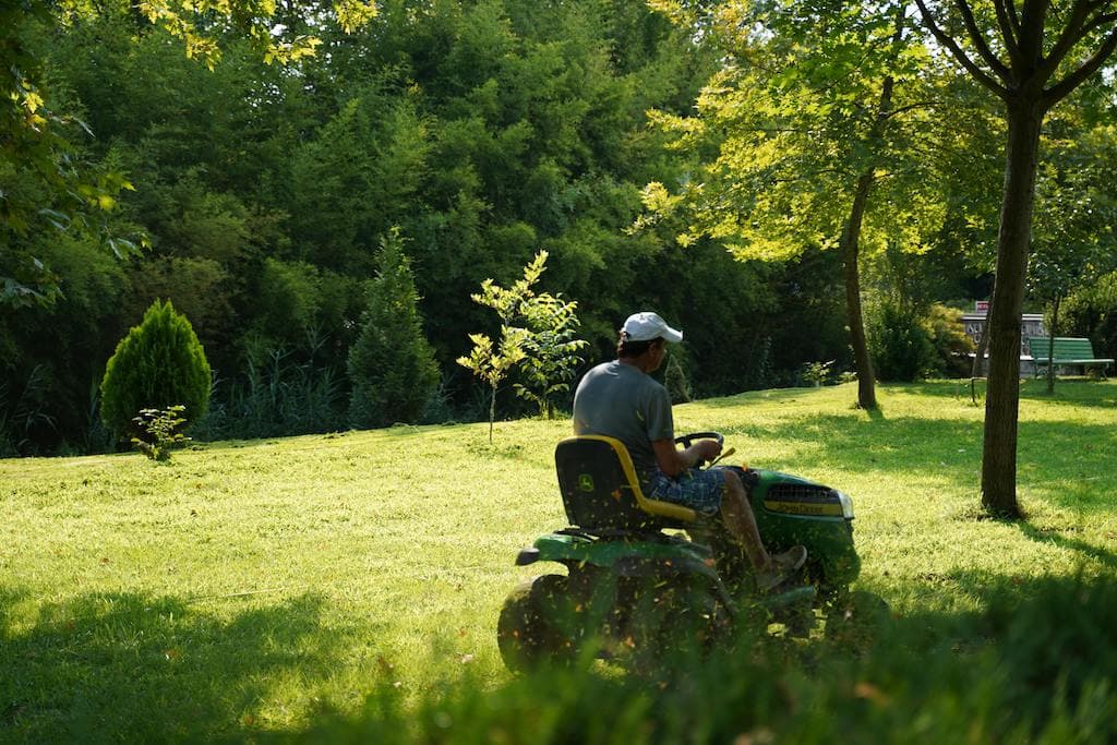 Lawn care business plan: Market Research and Analysis