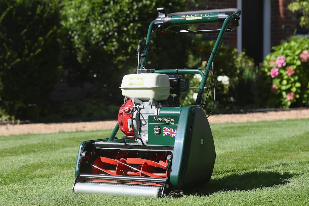 Lawn care business plan: Organizational Structure and Management