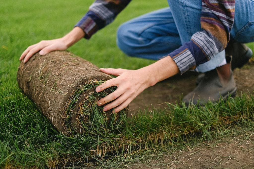 Lawn care business plan: Financial Projections