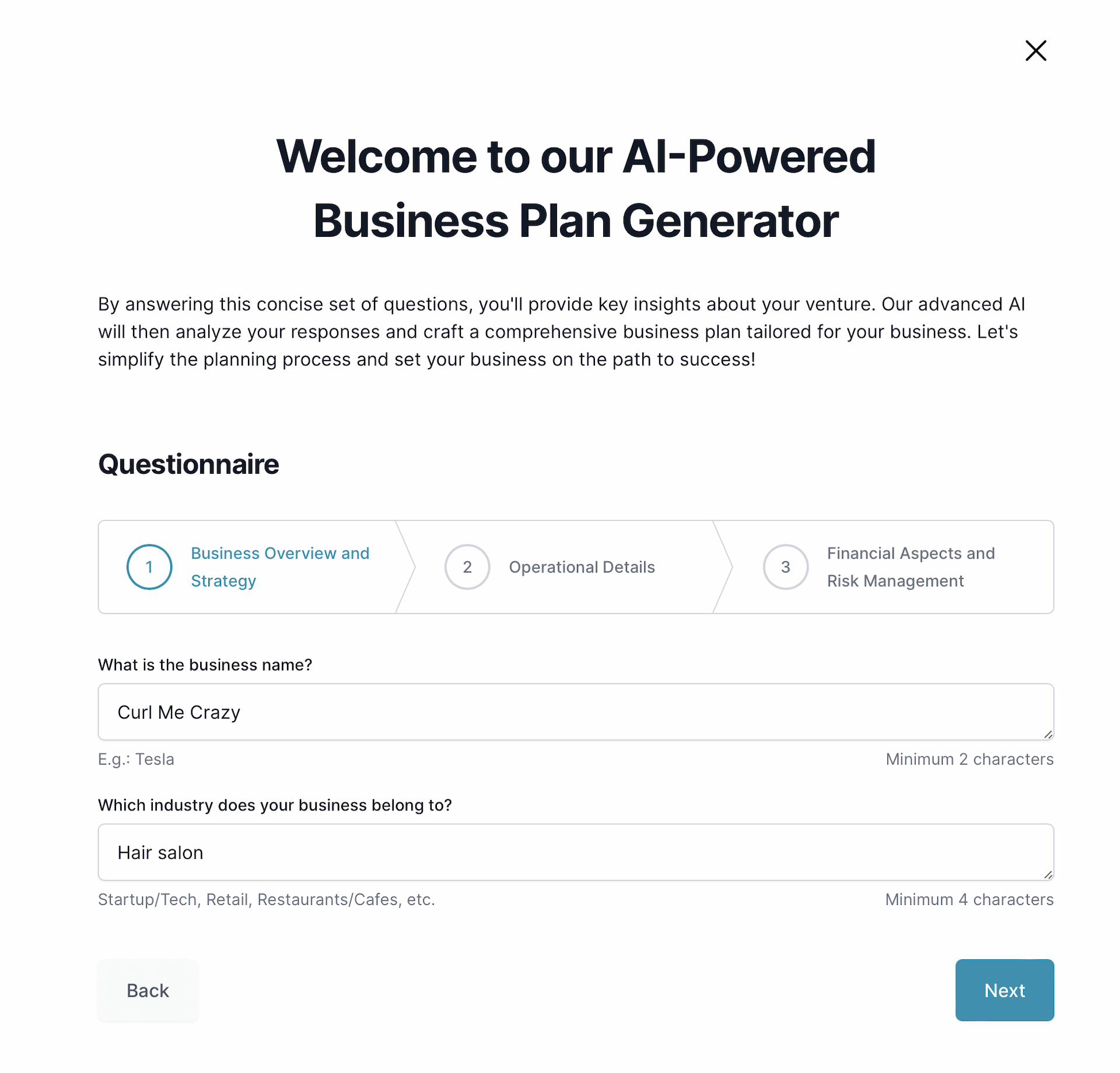 Hair salon business plan: questionnaire
