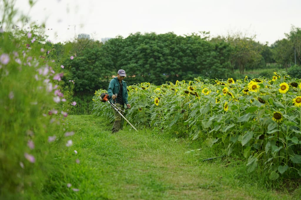 Lawn care business plan: Executive Summary
