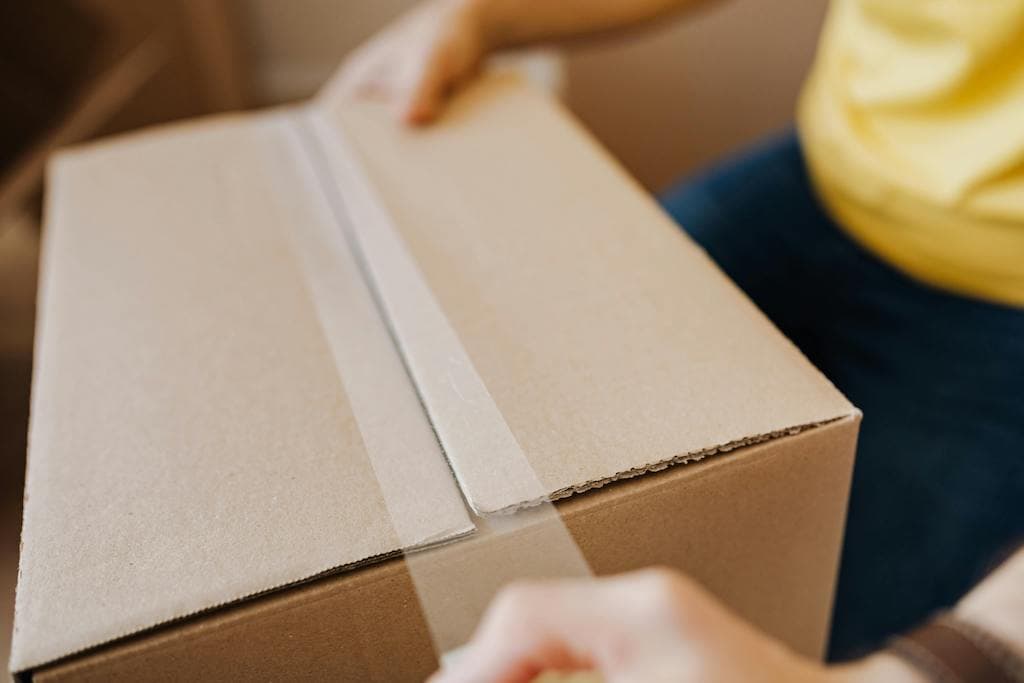 Moving company business plan: Executive Summary