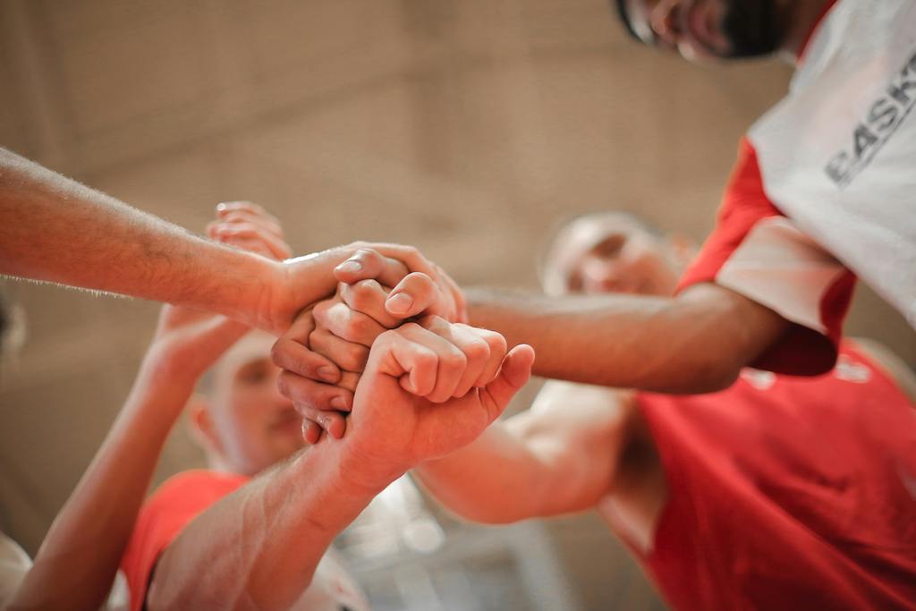 Plan d'affaires pour gymnase de basketball: Risk Analysis