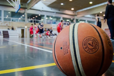Plan de negocio para gimnasio de baloncesto + PDF