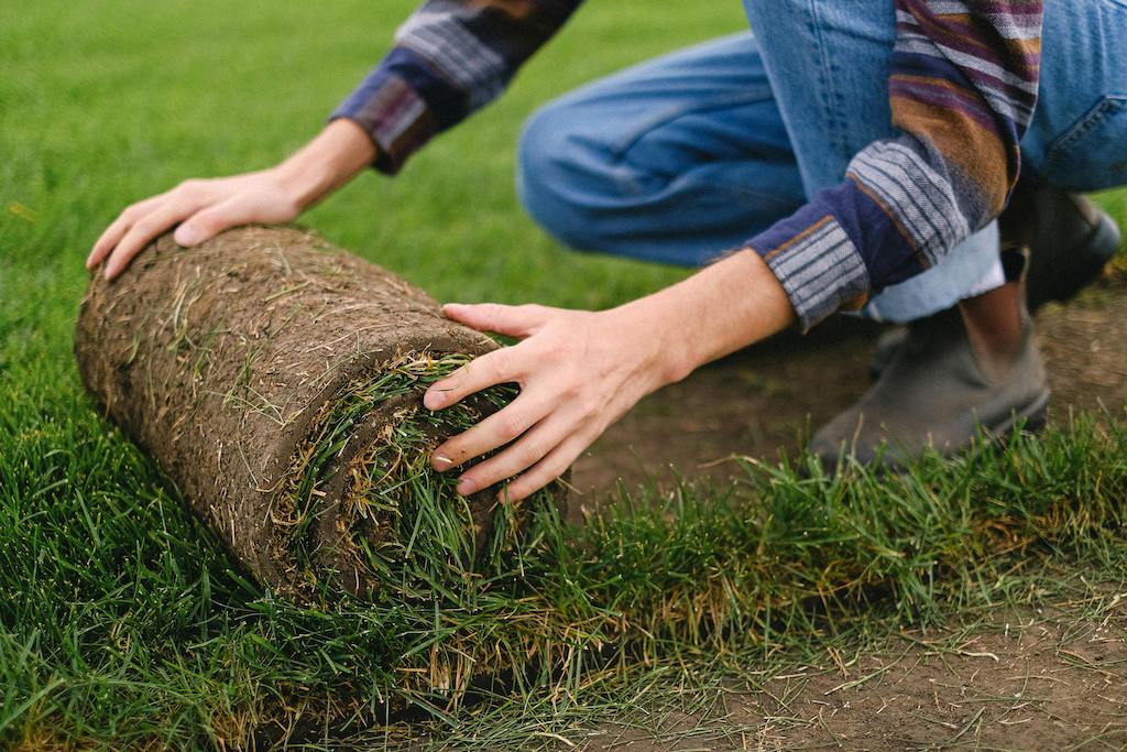 Plan d'affaires pour entretien de pelouses: Financial Projections